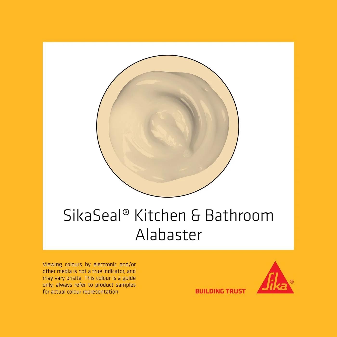 Sika 300ml SikaSeal Appliance Sealant